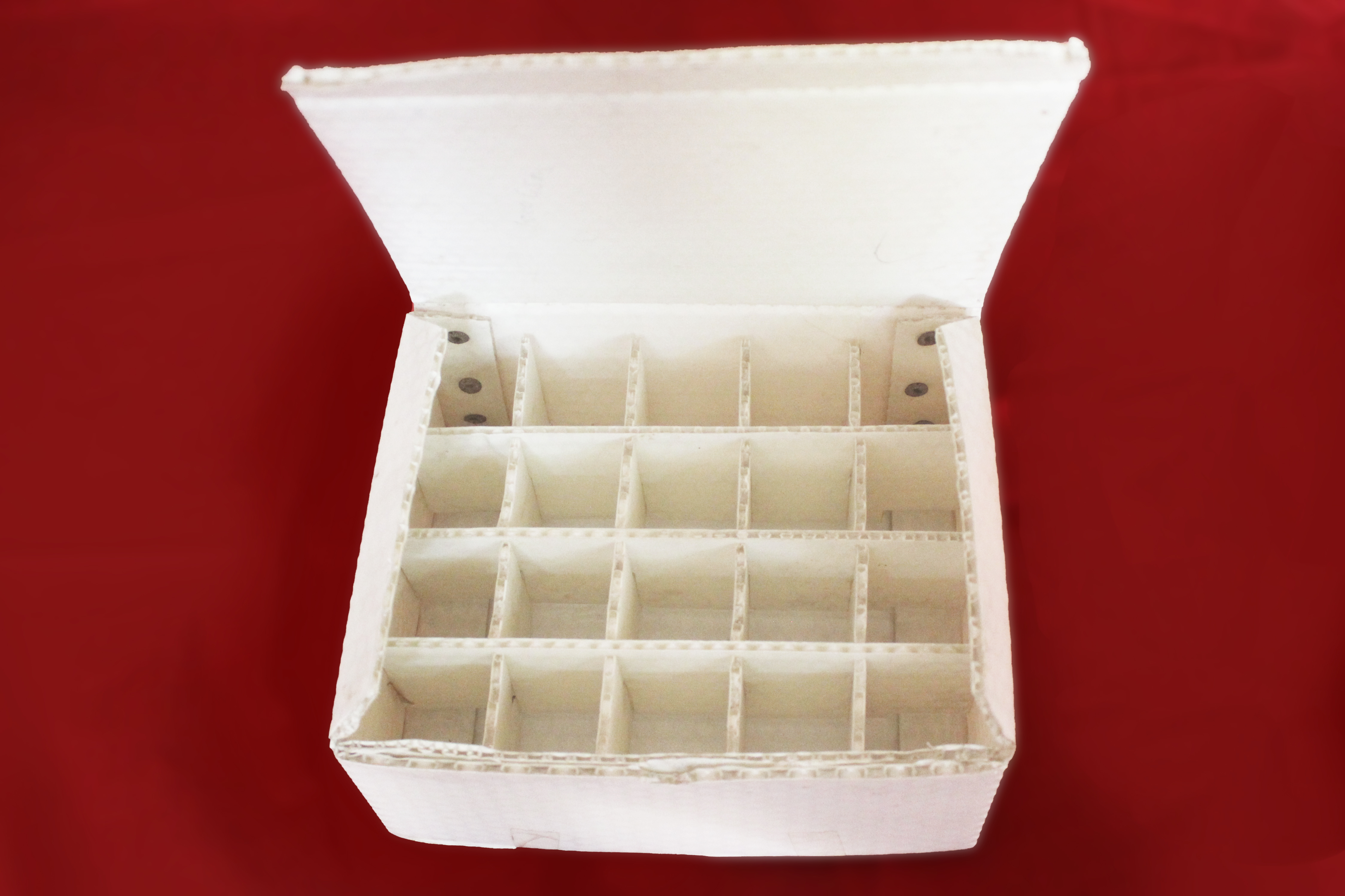 Plastic Corrugated Box